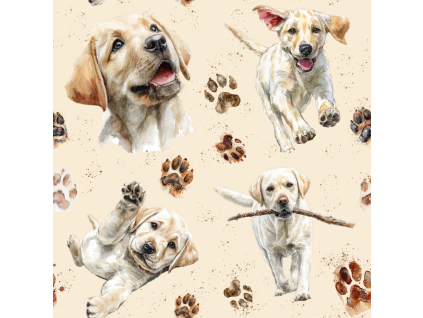 labrador 2 a 2