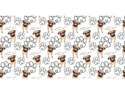 50x100 mops