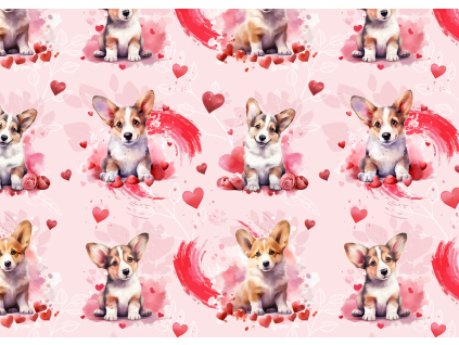 Látky  -  Corgi