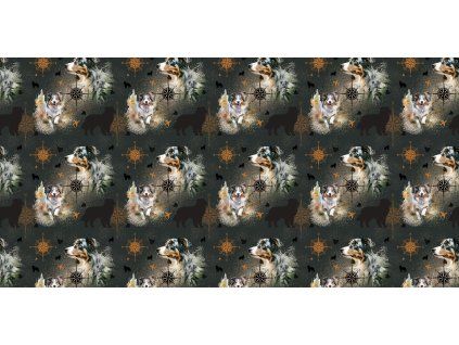 100x50 AUO Blue merle (1)