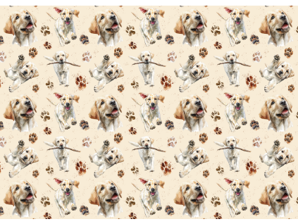 Látky  - Labrador