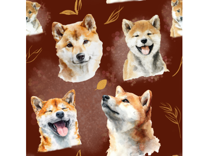 Shiba 2