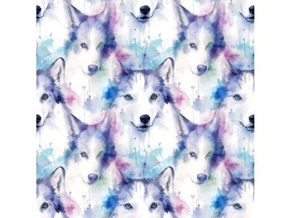 husky1