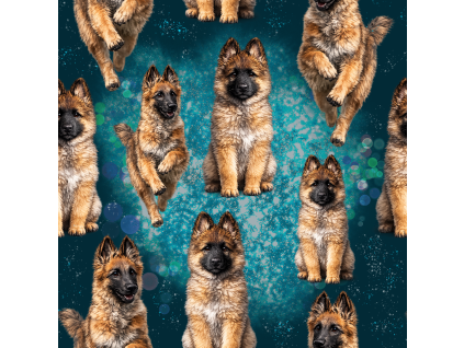 tervík 21