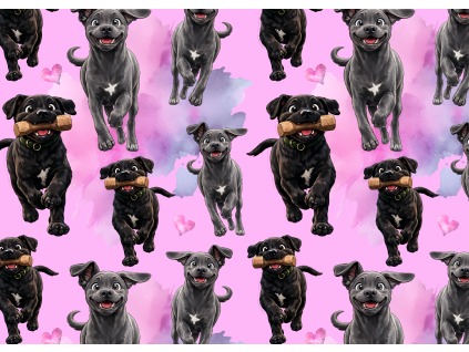 Látky  - Cane corso štěnátka v běhu