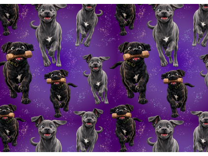 Látky  - Cane corso štěnátka v běhu