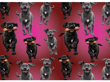 Látky  - Cane corso štěnátka v běhu