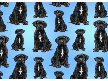 Látky  - Cane corso černé