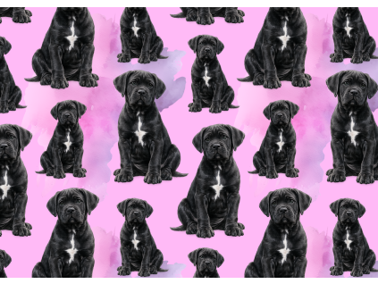 Látky  - Cane corso černé