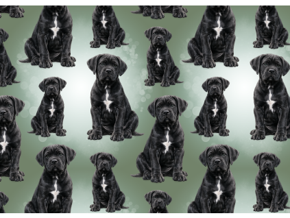 Látky  - Cane corso černé