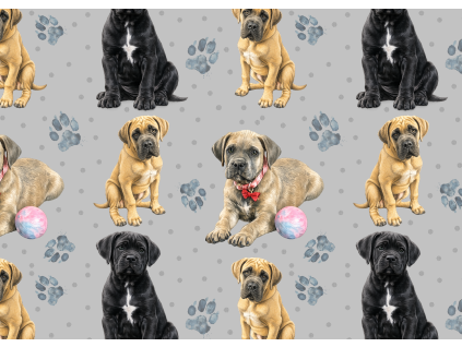 Látky  - Cane corso štěňátka
