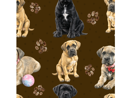 Látky  - Cane corso štěňátka
