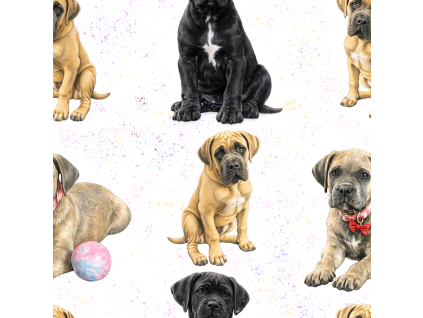 Látky  - Cane corso štěňátka