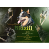 bidzil 2