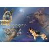 rhodopy 5
