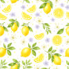 Látky  - Citronky
