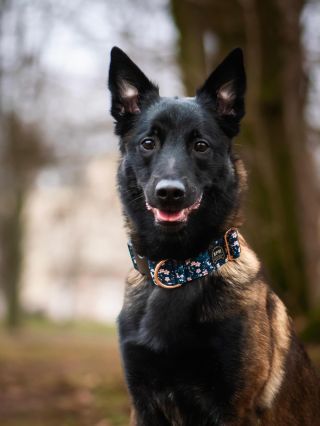 Já osobně tuhle kolekci zbožňuju. 👌🏻😍