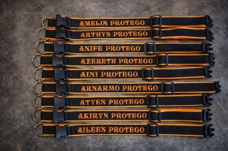 Obojky pro chovatelské stanice 🥰