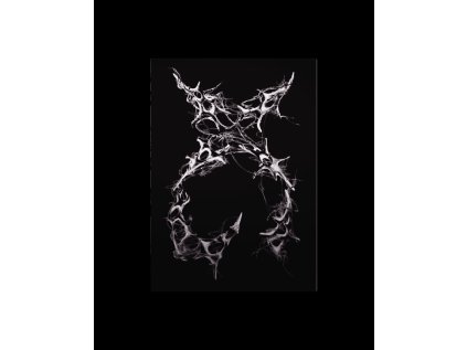 XG - K-PopStore