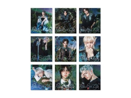 1000012071 detail 01