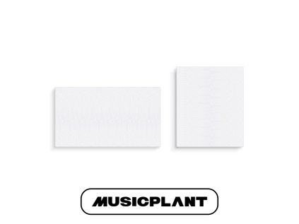 MUSICPLANTPOB (6)