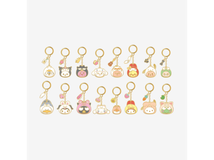 MetalKeyring PROF