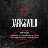 btsdarkandwild