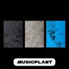 MUSICPLANTPOB (4)