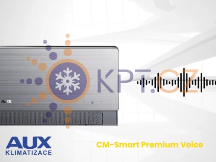 aux cm smart premium voice interier CZ7