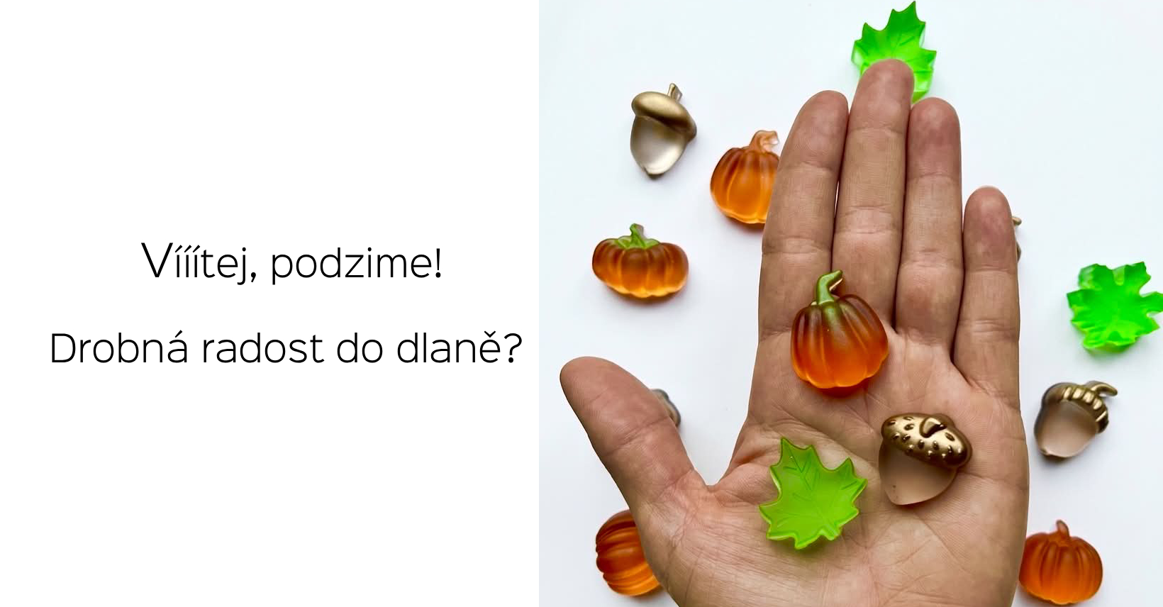 podzim 1