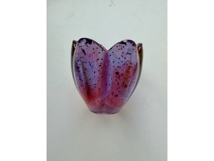 Miska tulipán květ