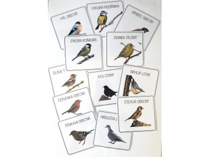 Ptáčci našich krmítek