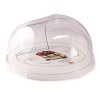 972 Snips Podnos s krytem na bábovku transparentní 26x14 cm