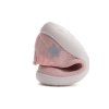 D.D.STEP dievčenské barefoot tenisky  F093-51209E - Baby Pink