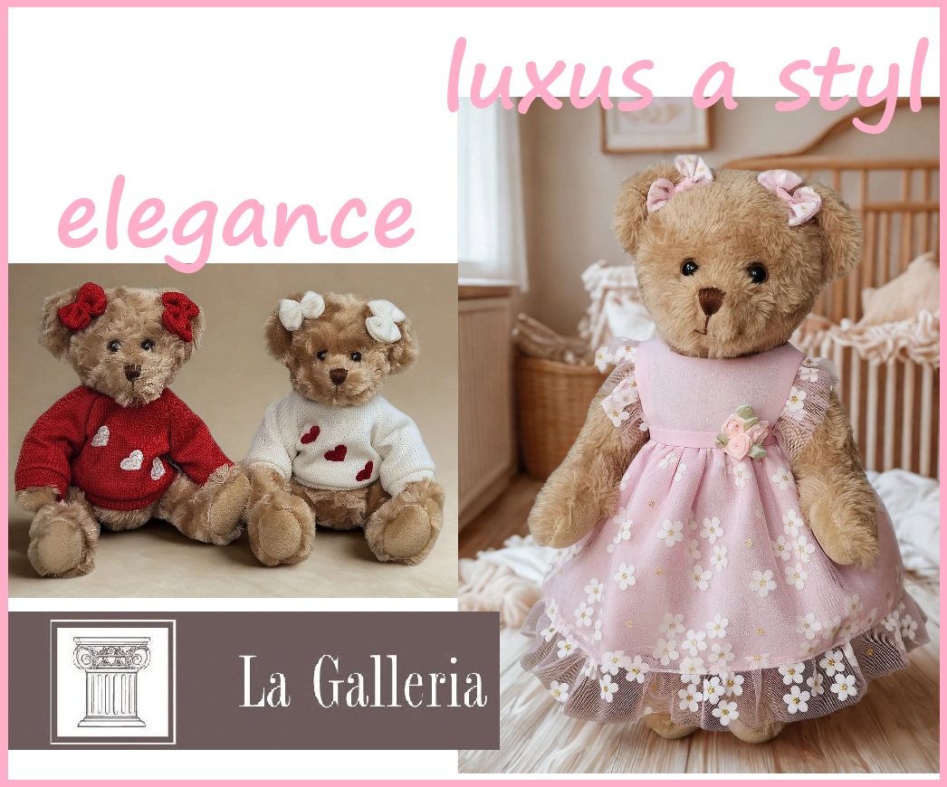 hledáme nový domov