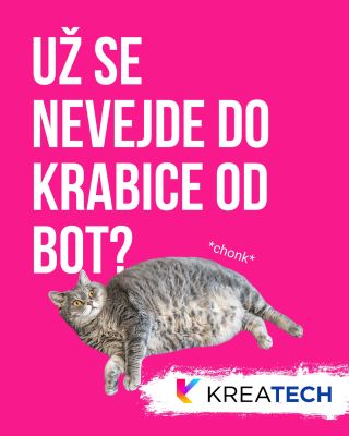 Máte pocit, že se vaše kočka rozhodla pro kariéru profi brambory?🐈 Bytové kočky mají jeden velký problém - nedostatek...