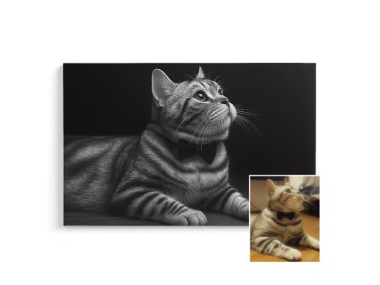 Platno Mazlicek large