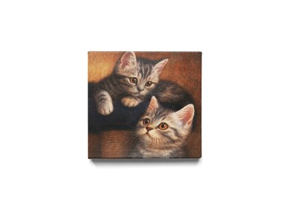 Koťátka Bráškové – obraz na plátno Premium Canvas | 100% bavlna | Různé rozměry  Koťátka Bráškové – roztomilý obraz dvou koťátek na plátně | Dekorace do bytu