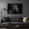 Zebra v Černobílé – Luxusní obraz na plátno Premium Canvas | 100% bavlna | Různé rozměry  Černobílý portrét zebry na tmavém pozadí | 100% bavlna