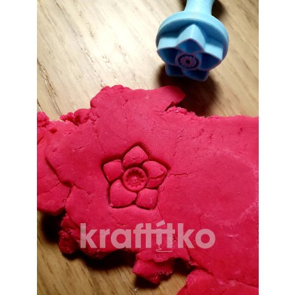 Vánoční růže