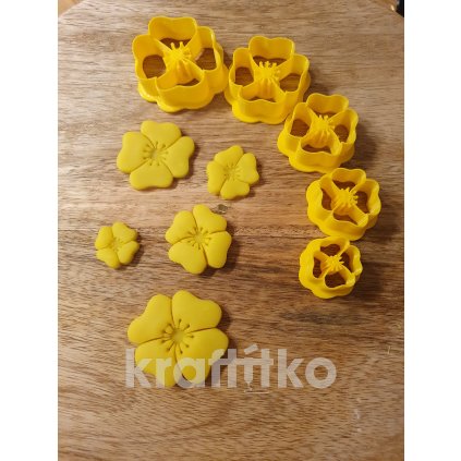 1878 sada kvetu 5 ks