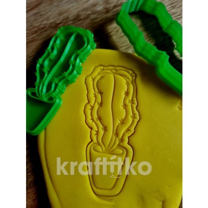 Kaktus č.7