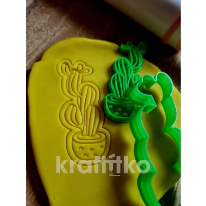 Kaktus č.8