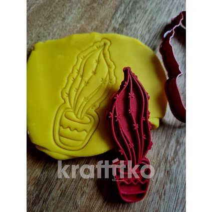 Kaktus č.9