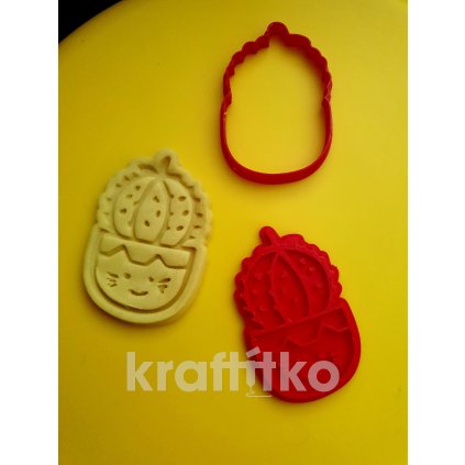 Kaktus č.2