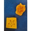 Mořský hvězdice razítko (Velikost 2 cm)