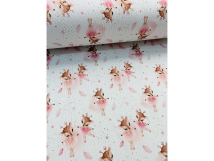 image0 (14)