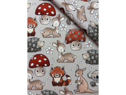 Zimný softshell - Muchotrávka a jej lesní priatelia
