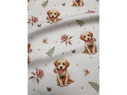 Žebrovaný úplet - Pejsek fotograf