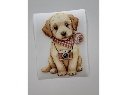 Nažehlovačka - Psík fotograf